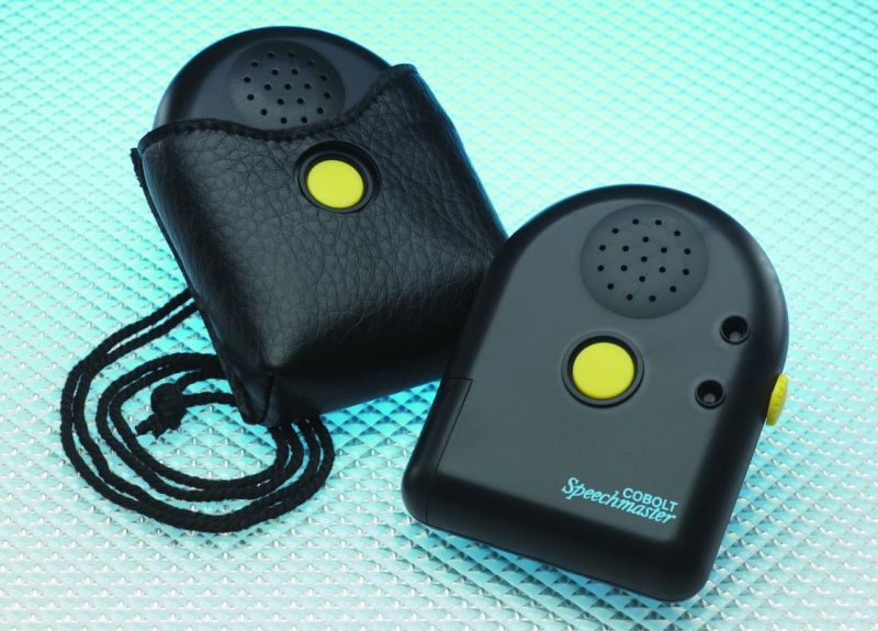 Dual Voice Single Button Clock